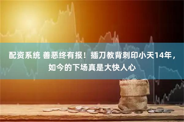 配资系统 善恶终有报！插刀教背刺印小天14年，如今的下场真是大快人心